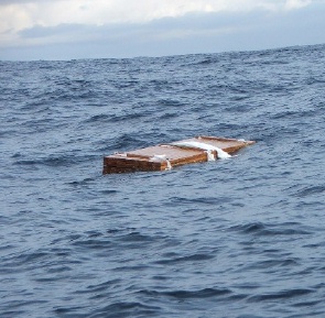 A pallet of wood floating in the Atlantic