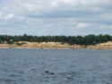 Chesapeake Cliffs